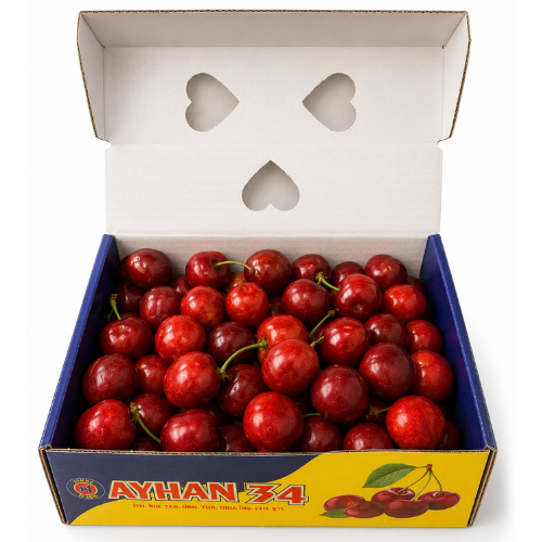 Kiraz ( Cherry ) 1 Box 1000 gr