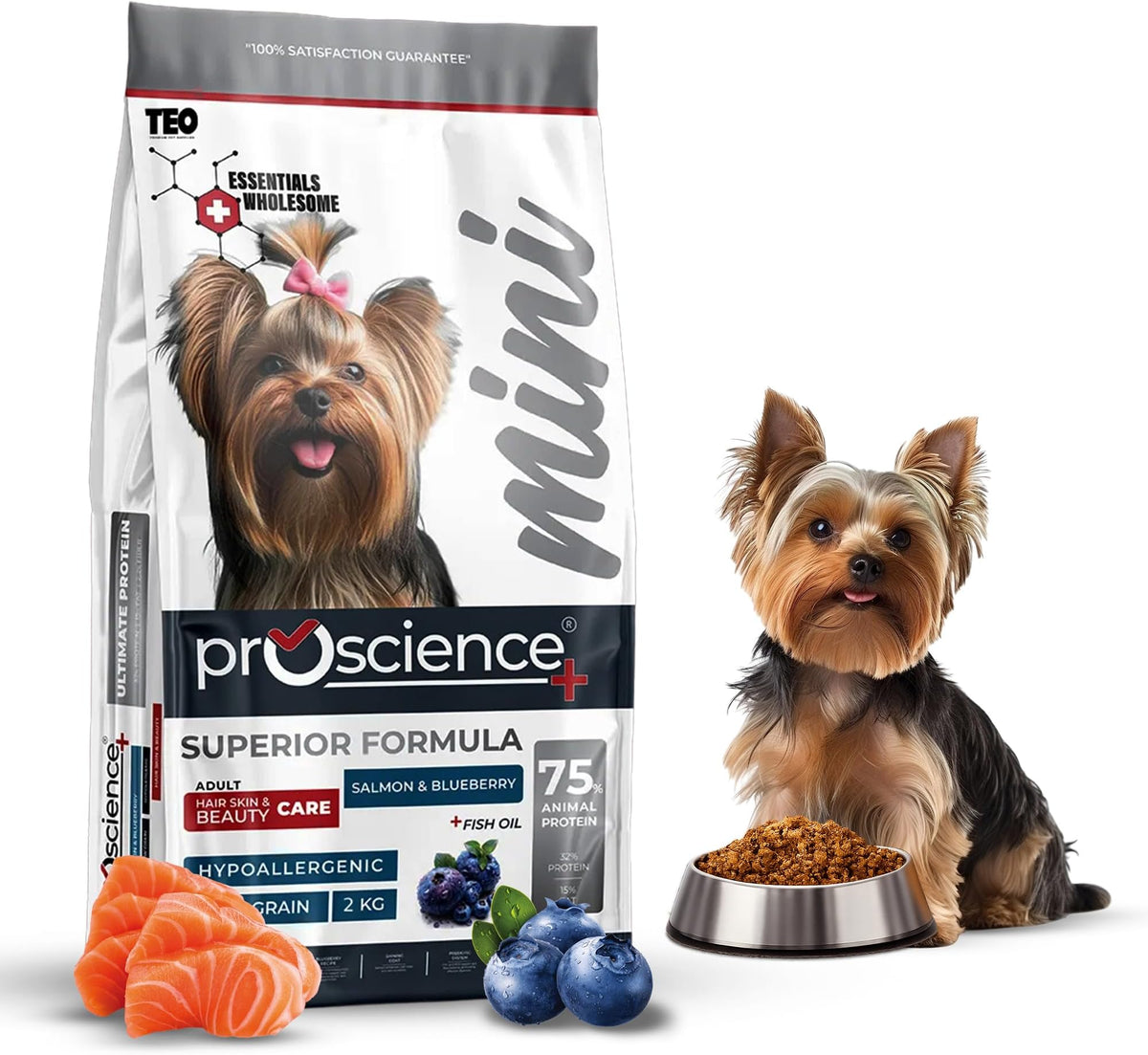 Teo Premium ProScience Mini Adult Salmon & Blueberry Dog Food 2kg