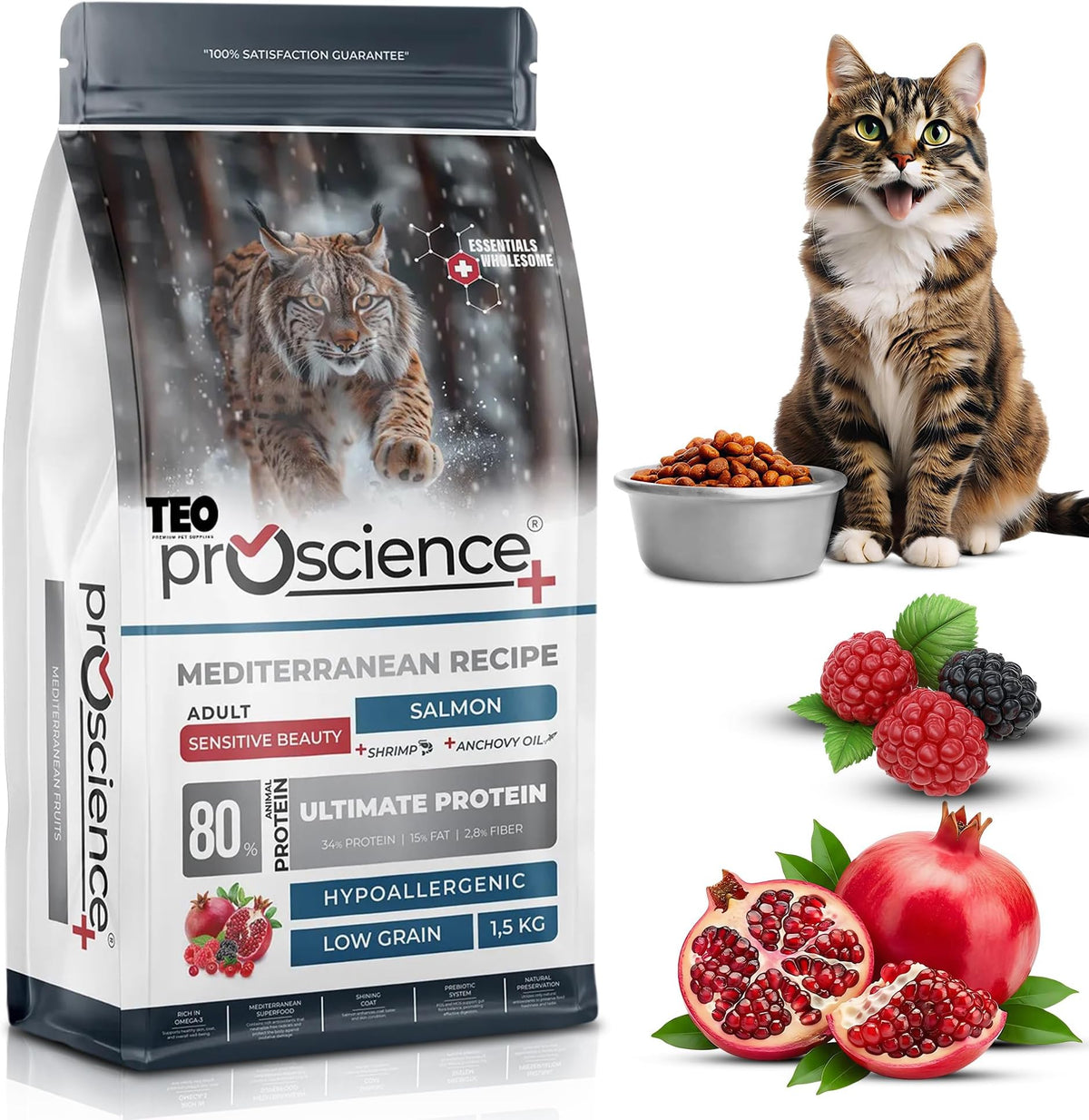Teo Premium ProScience Adult Cat Salmon Dry Food 1.5kg