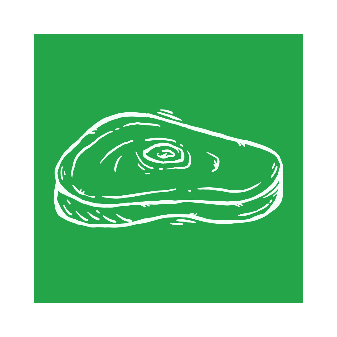 Cold Cuts & Butchery