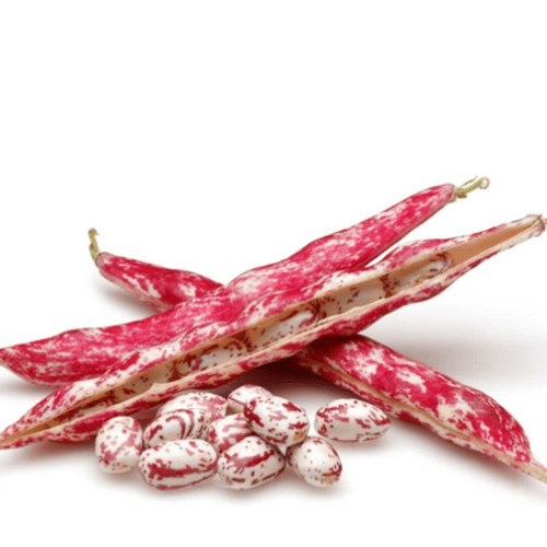 Barbunya ( Fresh Kidney Beans ) 500 gr