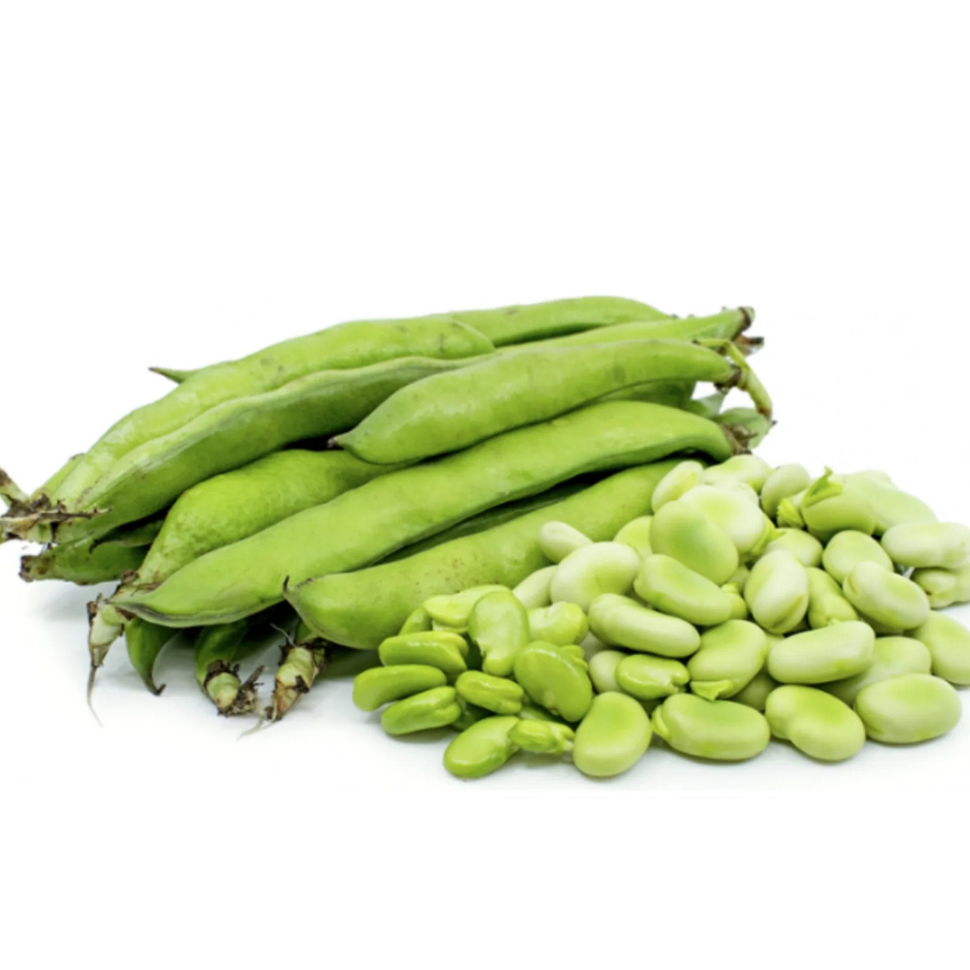 Taze Bakla ( Fresh Broad Beans ) 500 gr