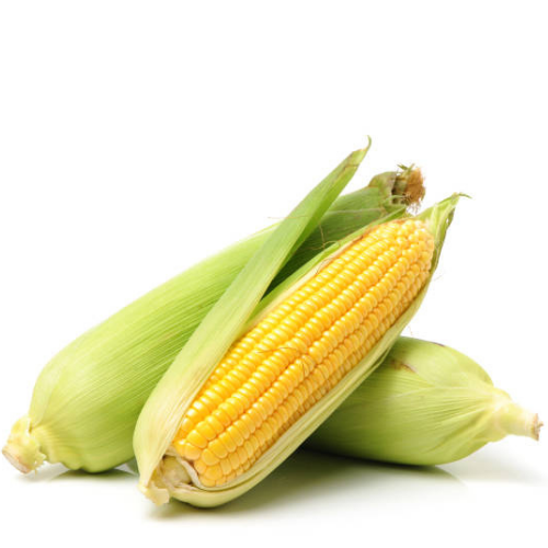 Sut Misir ( Corn ) 1100 gr