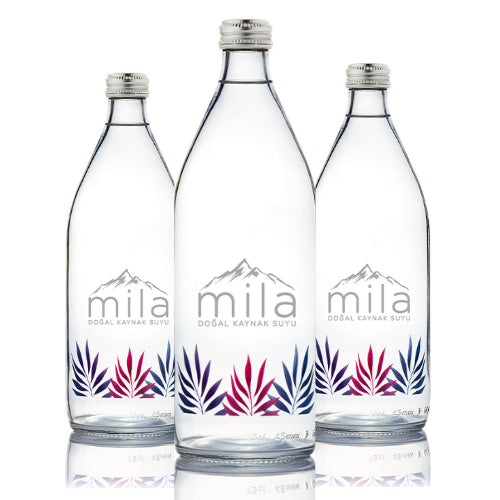 "Still" Natural Mineral Water 750 mL, Pack of 6