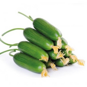 Cucumber 500 gr