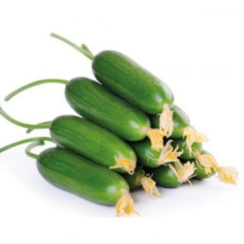 Cucumber 500 gr