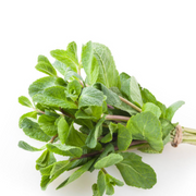 Mint 1 Bunch 200 gr